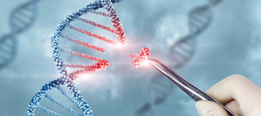 ¿Qué es el ADN y dónde se encuentra?