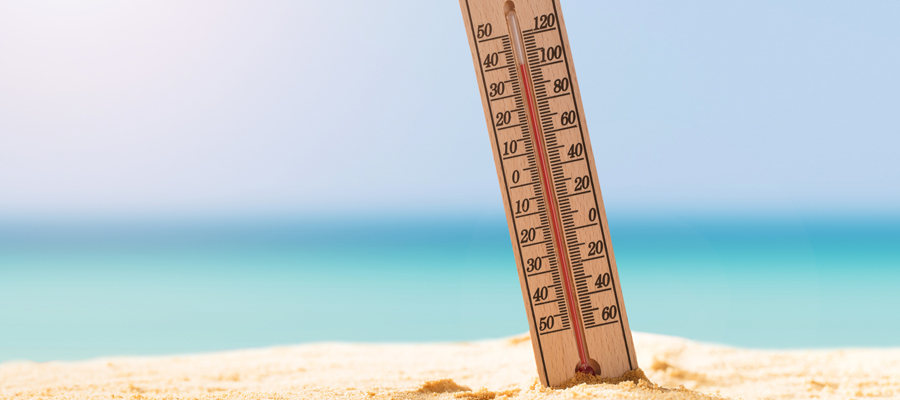 Más calor… ¡cuidado con la deshidratación!