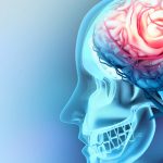 Identifican un nuevo biomarcador en el tumor cerebral más letal