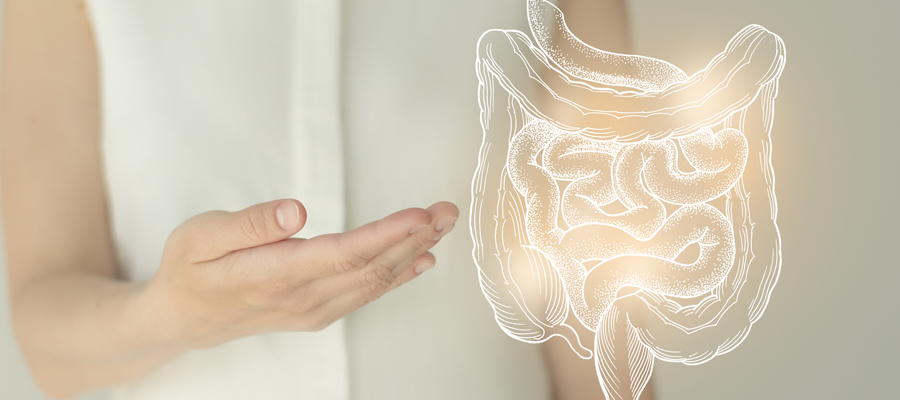¿Qué es la microbiota intestinal y cuál es su función?