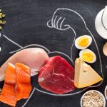 ¿Los músculos necesitan sólo proteína animal?