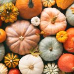 Various fresh ripe pumpkins as background