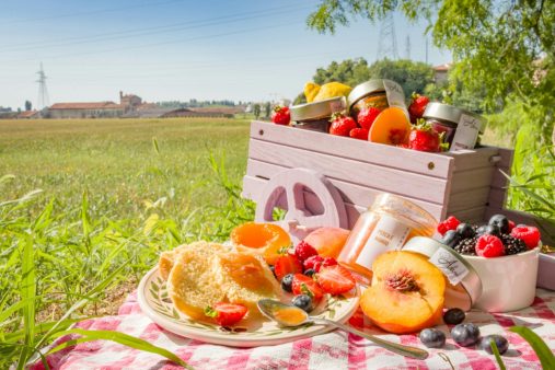 picnic massimo-adami-GYdtY0fR4CM-unsplash