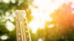 Golpe de calor: señales de alarma que nunca debes ignorar
